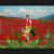 Red Field Backgrounds…